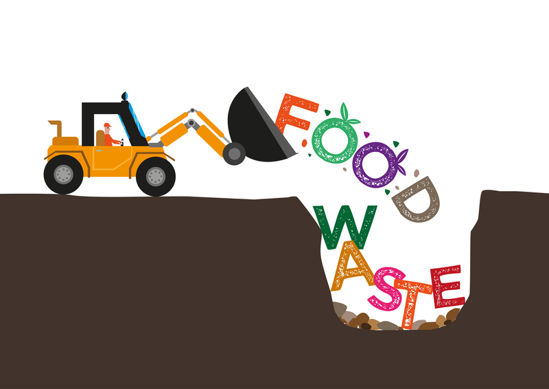 Say Goodbye to Chaos Through Quality Clutter Removal and Hoarding Clean Up Assistance